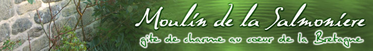 Bienvenue au gite du moulin de la salmonière, gite de charme en Bretagne avec piscine intérieure